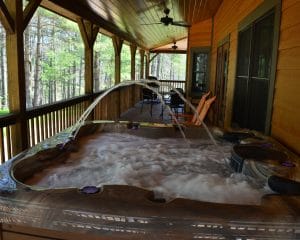 Cabin Rental - Asheville, North Carolina